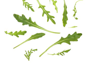 Beyaz arka planda taze roka yaprakları