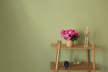 Tencerede güzel çiçeklenme Azalea ile raf ve renk duvarına karşı dekor