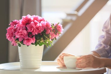 Güzel çiçeklenme Azalea ile masada kadın içme çayı