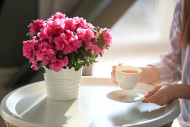 Güzel çiçeklenme Azalea ile masada kadın içme çayı