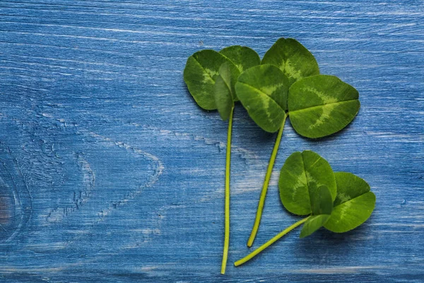 Verse groene klaver op kleur houten achtergrond — Stockfoto