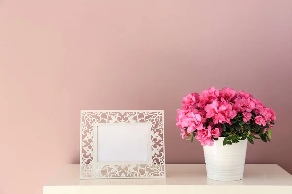 Kruka med vacker blommande azalea och blank fotoram på bordet — Stockfoto
