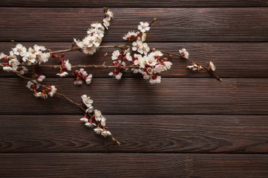 Ahşap arka planda çiçek açan güzel dallar.