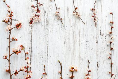 Beyaz ahşap arka plan üzerinde güzel çiçek dalları yapılmış çerçeve