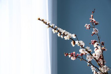 Odada çiçek açan güzel dallar