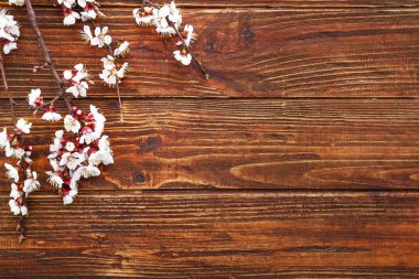 Ahşap arka planda çiçek açan güzel dallar.