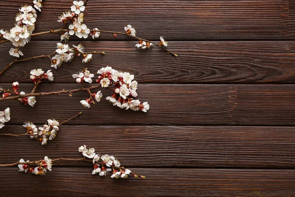 Красиві квітучі гілки на дерев'яному фоні — стокове фото