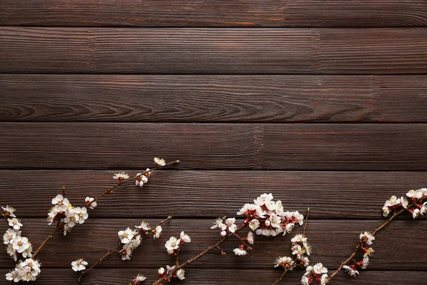 Красиві квітучі гілки на дерев'яному фоні — стокове фото