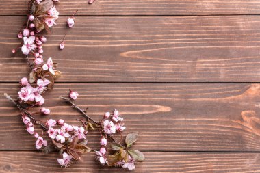 Ahşap arka planda çiçek açan güzel dallar.