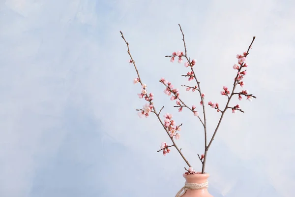 Vase with beautiful blossoming branches on color background — Stock Photo, Image