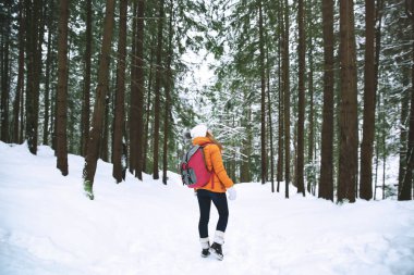 kış orman içinde güzel bir kadın