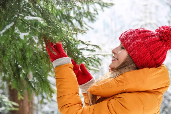 Vacker kvinna i vinter skog — Stockfoto