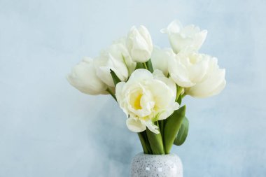 Renk arka plan üzerinde güzel Lale vazo