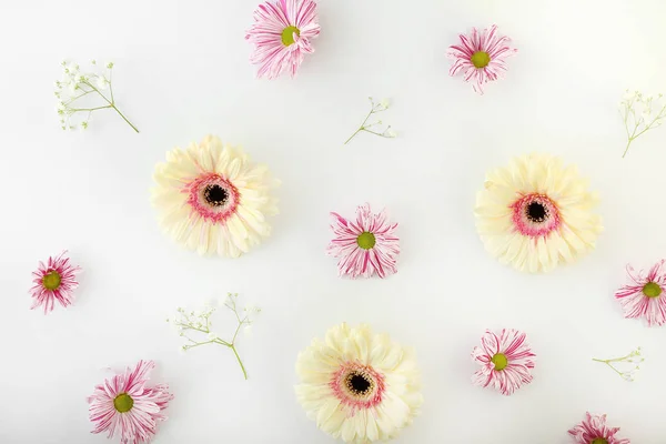 Mooie bloemen op witte achtergrond — Stockfoto