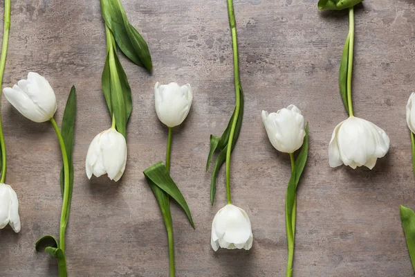 Belles fleurs de tulipes sur fond gris — Photo