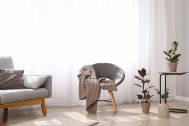 Oda iç şık mobilya ile hafif perdeler