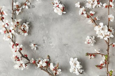 Güzel çiçek dalları gri arka plan üzerinde