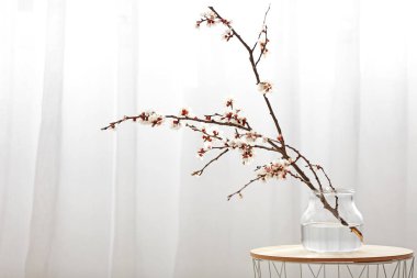 Masanın üzerinde çiçek açan güzel dalları olan bir vazo.