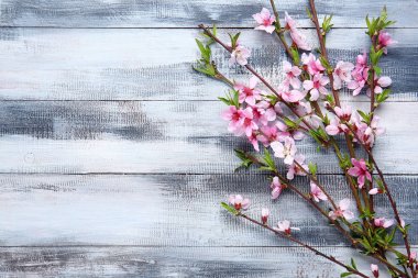 Ahşap arka planda çiçek açan güzel dallar.