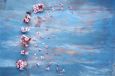 Renk ahşap arka plan üzerinde güzel çiçek şube