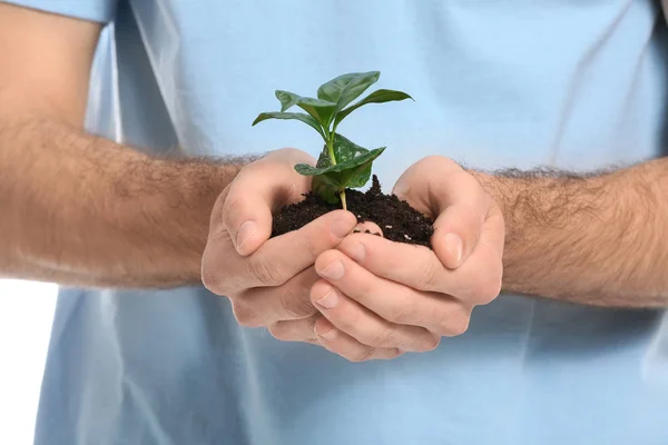 Man with young plant, closeup — Stock Photo, Image