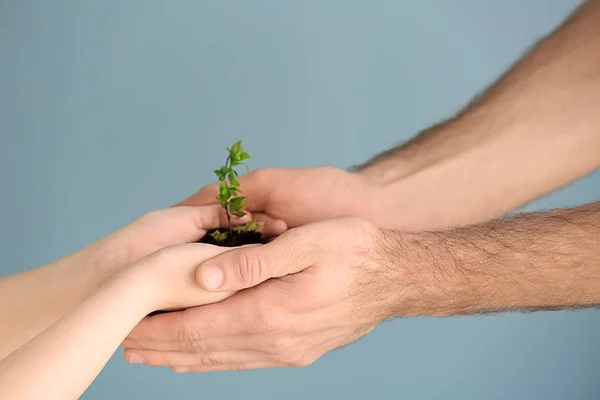 Man and child with young plant on color background — Stock Photo, Image