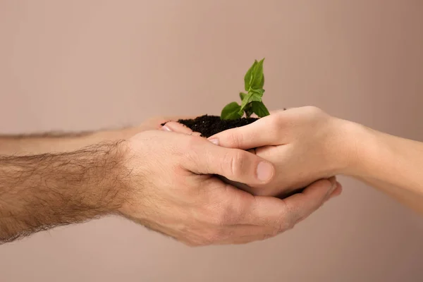 Hands of man and woman with young plant on color background — Stock Photo, Image