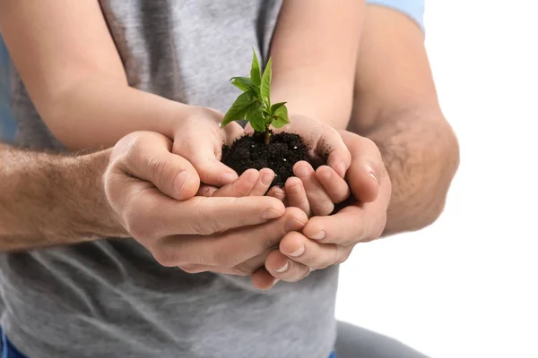 Man and child with young plant on white background, closeup — Stock Photo, Image