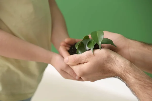 Man and girl with young plant on indoors — Stock Photo, Image