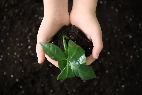 Hands of child with green plant and soil — Stock Photo, Image