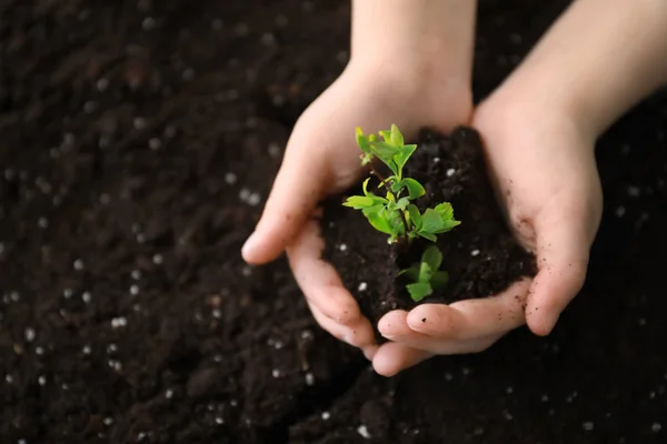 Hands of child with green plant and soil — Stock Photo, Image