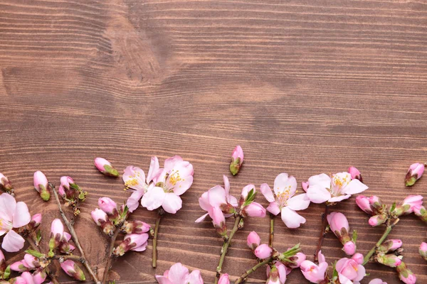 Beautiful blossoming branches on wooden background — Stock Photo, Image