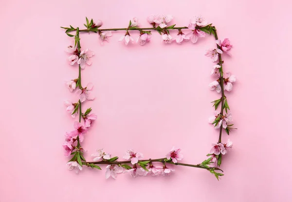 Frame made of beautiful blooming branches on color background — Stock Photo, Image