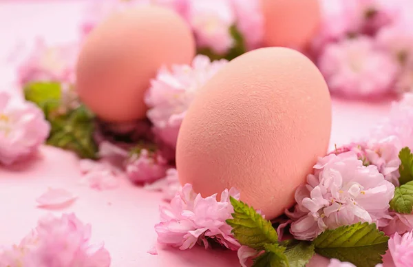 Beautiful Easter eggs with flowers on color background, closeup — Stock Photo, Image