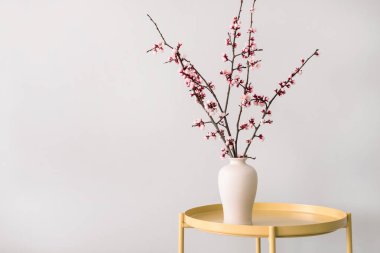 Masanın üzerinde çiçek açan güzel dalları olan bir vazo.