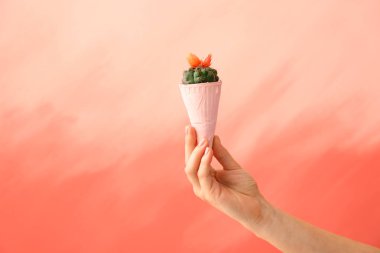 Kadın el renk arka planda kaktüs ile koni tutan