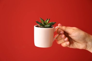 Kadın el renkli arka plan üzerinde sulu fincan tutan