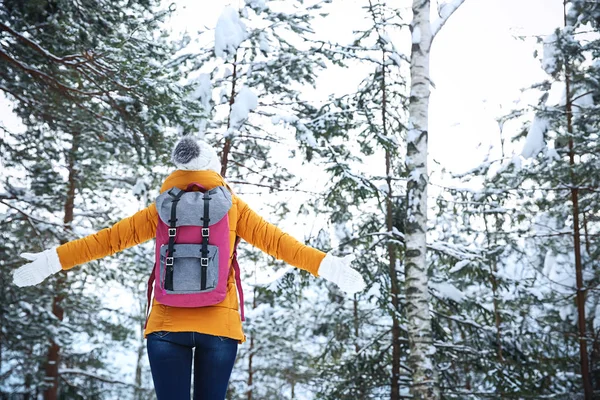 kış orman içinde güzel bir kadın