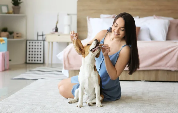 Jovem mulher com cão bonito em casa — Fotografia de Stock