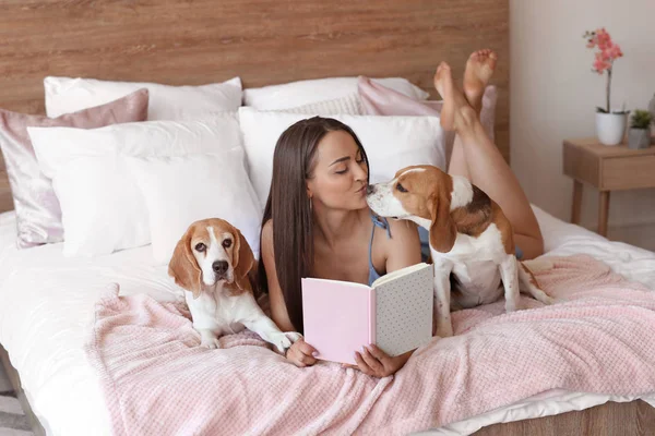 Young woman with cute dogs reading book on bed at home — Stok fotoğraf