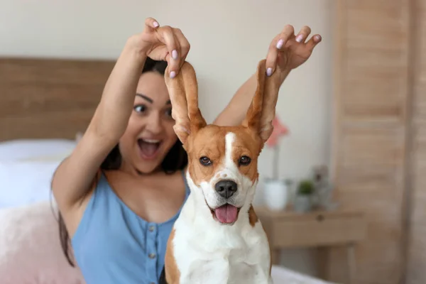 Fiatal nő aranyos kutya otthon — Stock Fotó
