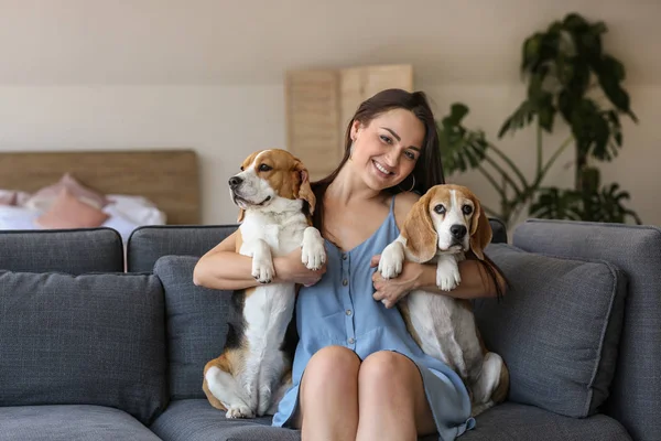 Jovem mulher com cães bonitos sentados no sofá em casa — Fotografia de Stock