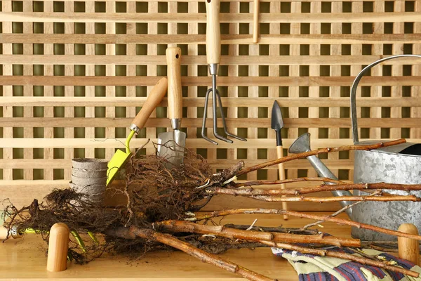 Zaailingen met tuin benodigdheden op tafel — Stockfoto