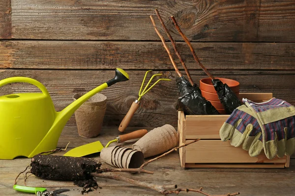 Boom zaailingen met tuinieren benodigdheden op houten tafel — Stockfoto