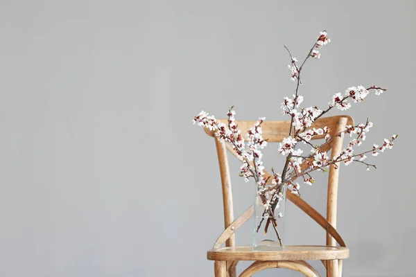 Vaso com belos ramos florescentes na cadeira contra fundo claro — Fotografia de Stock