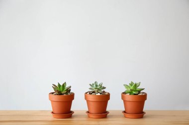 Gri arka plana karşı masada sulu tencereler