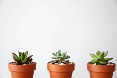 Gri arka planda sulu tencereler