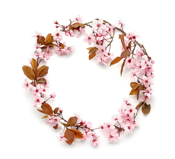 Okrąg wykonany z pięknych gałęzi kwitnących na białym tle — Zdjęcie stockowe