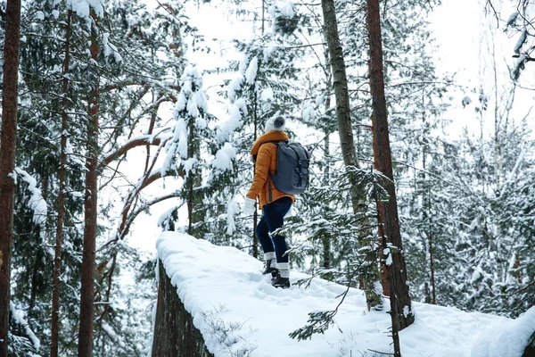 Beautiful woman in winter forest — Stock Photo, Image