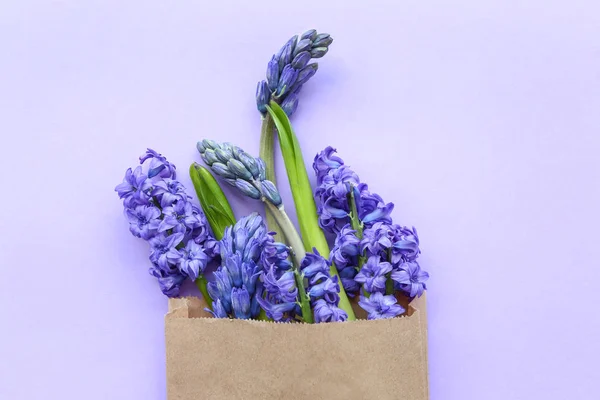 Bag with beautiful hyacinth flowers on color background — Stock Photo, Image